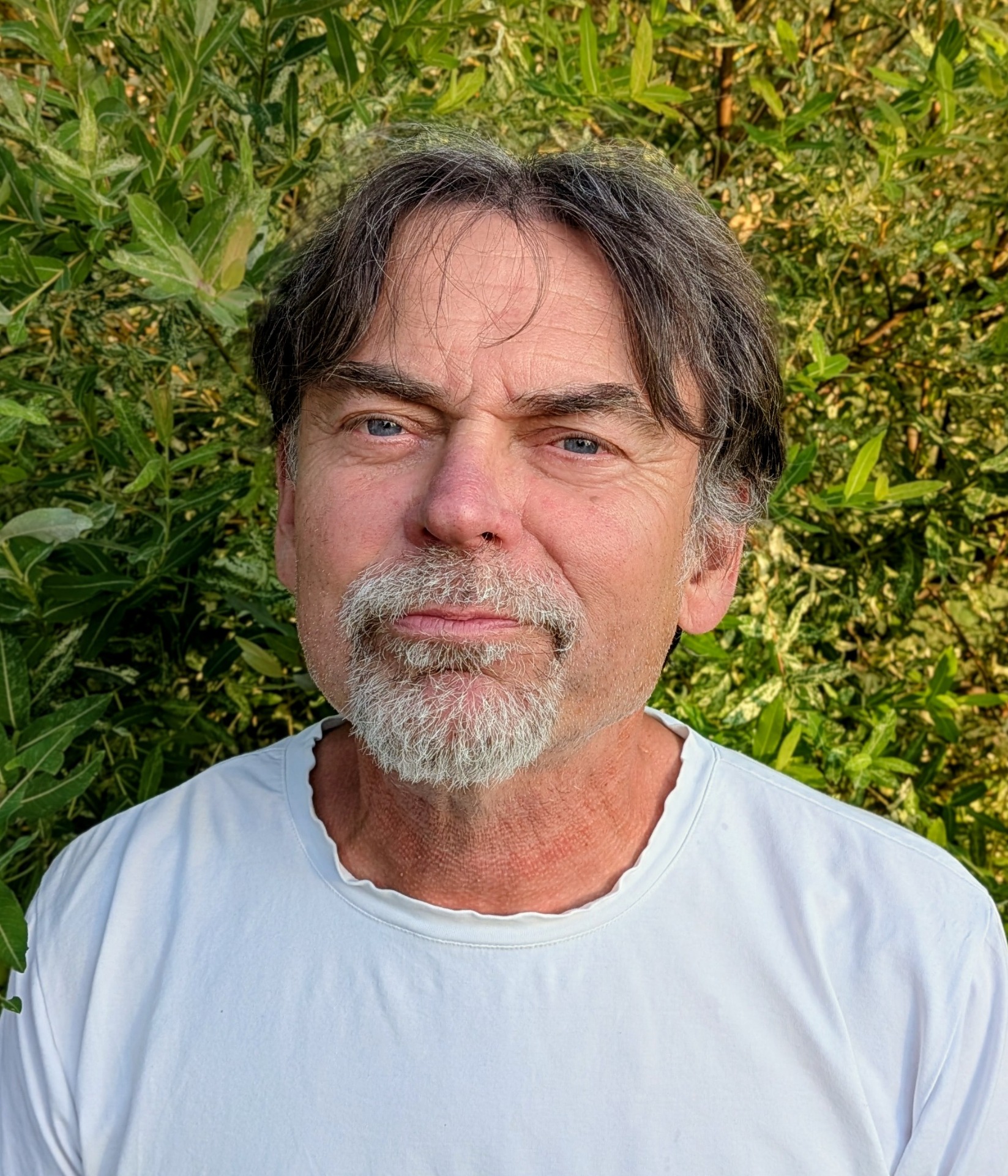 Robert Strauss